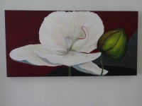 /album/fotogalerij-schilderijen/orchidee-jpg/